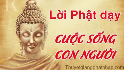 loi-phat-day-trong-cuoc-song